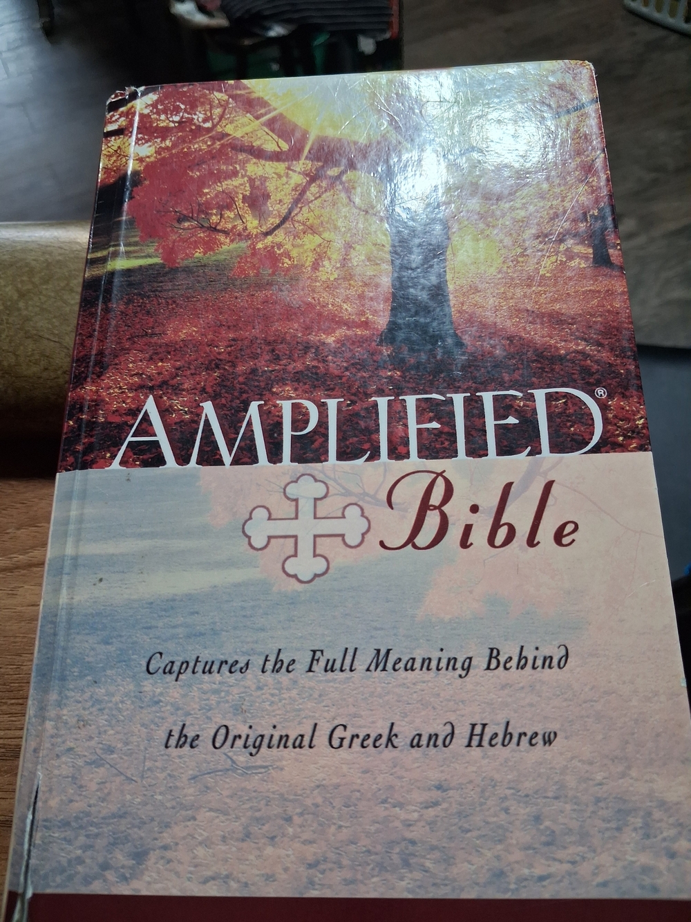 Bible - Red Autumn Cover